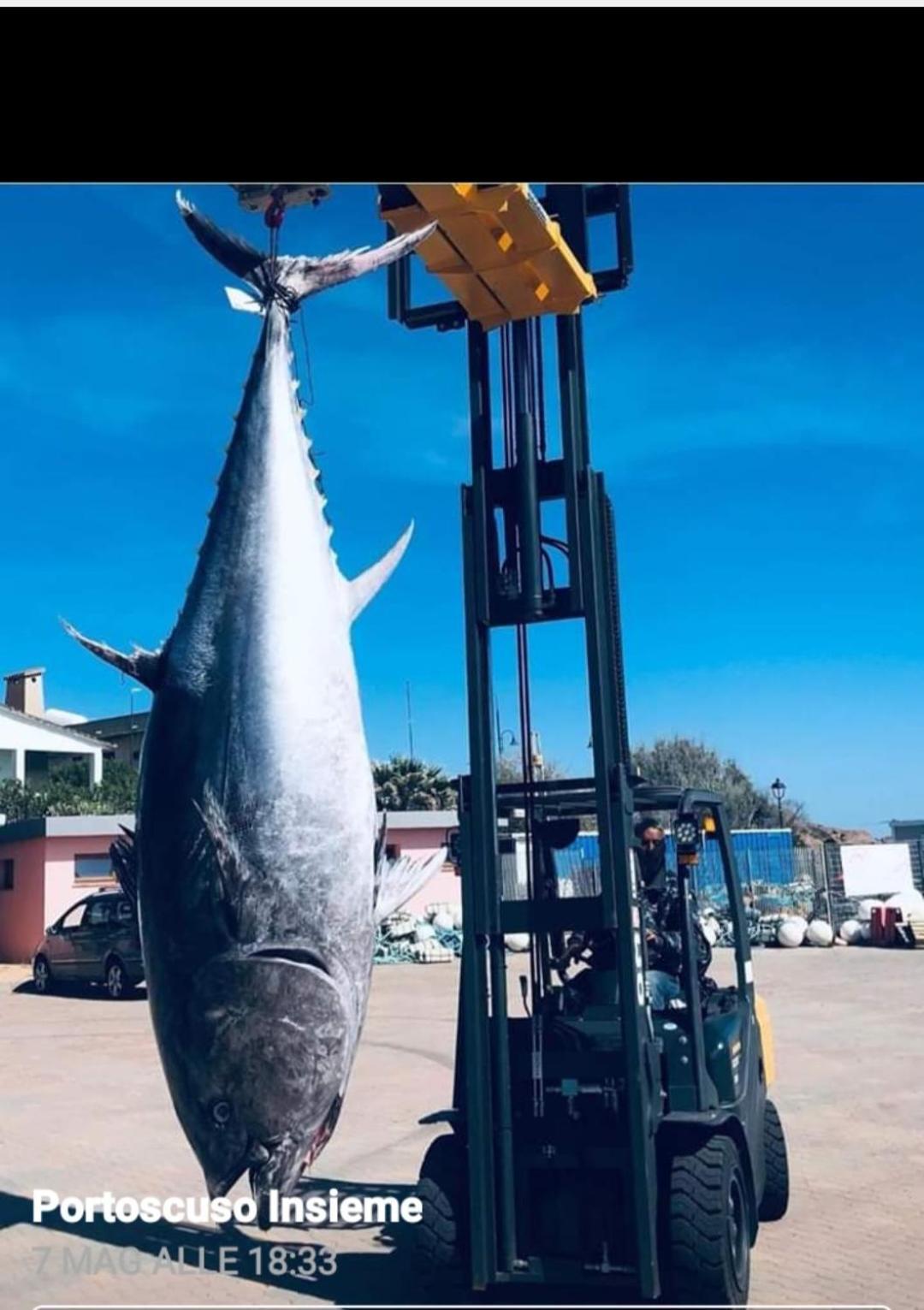B&B Nuovo Capo Altano Portoscuso Kültér fotó